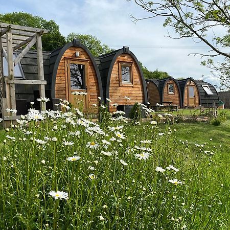 فندق Hedgehog Glamping Pod School House Farm Leighton  المظهر الخارجي الصورة